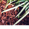 Recycle Rubber Mulch for Playground